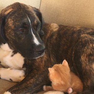 Meet your Posher, Colton